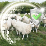 Kolay Blog Hayata Merhaba Sigortası Kolay Blog Hayata Merhaba Sigortası