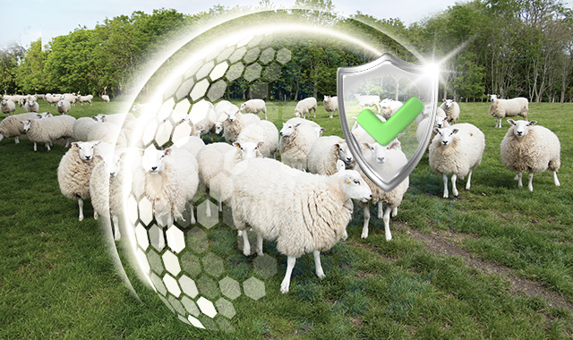 Kolay Blog TARSİM- Tarım ve Hayvancılık Sigortası  